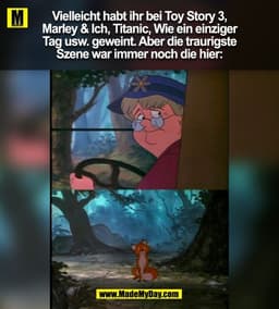 Vielleicht habt ihr bei Toy Story 3,
Marley & Ich, Titanic, Wie ein einziger
Tag usw. geweint. Aber die traurigste
Szene