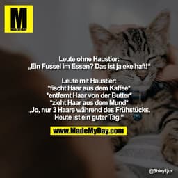 Leute ohne Haustier:
„Ein Fussel im Essen? Das ist ja ekelhaft!“

Leute mit Haustier:
*fischt Haar aus dem Kaffee*
*entf