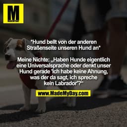 *Hund bellt von der anderen
Straßenseite unseren Hund an*

Meine Nichte: „Haben Hunde eigentlich
eine Universalsprache o