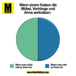 Wann einem Katzen die
Möbel, Vorhänge und
Arme zerkratzen: 
(BILD)