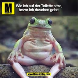 Wie ich auf der Toilette sitze,
bevor ich duschen gehe:
(BILD)