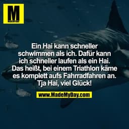 Ein Hai kann schneller
schwimmen als ich. Dafür kann
ich schneller laufen als ein Hai.
Das heißt, bei einem Triathlon kä