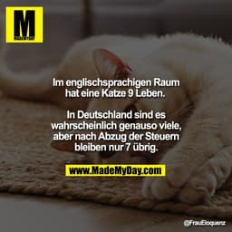 Im englischsprachigen Raum
hat eine Katze 9 Leben. 

In Deutschland sind es
wahrscheinlich genauso viele,
aber nach Abzu