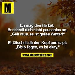 Ich mag den Herbst. 
Er schreit dich nicht pausenlos an:
„Geh raus, es ist geiles Wetter!“

Er tätschelt dir den Kopf un