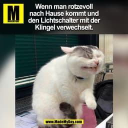Wenn man rotzevoll
nach Hause kommt und
den Lichtschalter mit der
Klingel verwechselt.
(BILD)