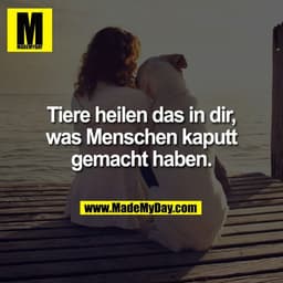 Tiere heilen das in dir,
was Menschen kaputt
gemacht haben.