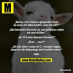 „Mama, von meinem gesparten Geld,
da kann ich alles kaufen, was ich will?“

„Bei kleineren Summen ja, bei größeren reden