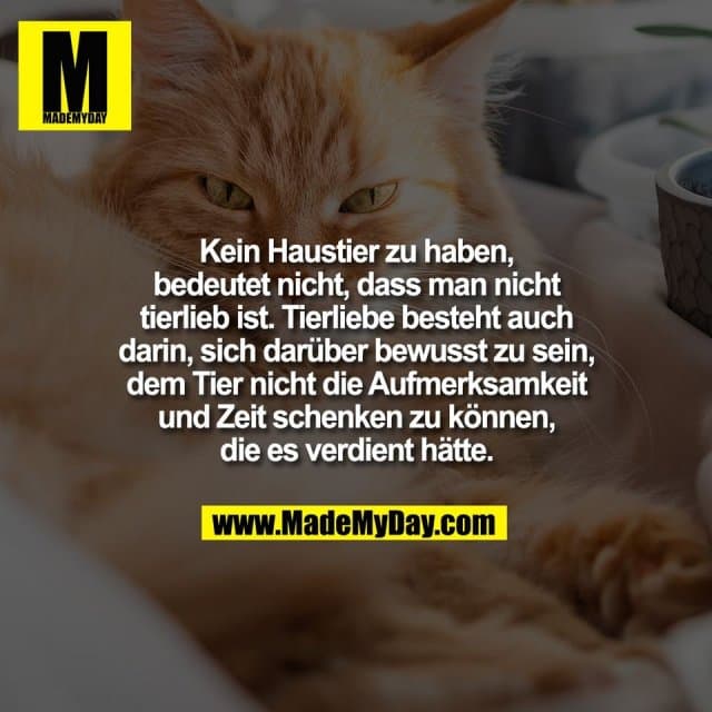 Kein Haustier zu haben,
bedeutet nicht, dass man nicht
tierlieb ist. Tierliebe besteht auch
darin, sich darüber bewusst zu sein,
dem Tier nicht die Aufmerksamkeit
und Zeit schenken zu können,
die es verdient hätte. - Inspiration, Zitate & Sprüche | MadeMyDay | Jetzt entdecken & teilen Kein Haustier zu haben,
bedeutet nicht, dass man nicht
tierlieb ist. Tierliebe besteht auch
darin, sich darüber bewusst zu sein,
dem Tier nicht die Aufmerksamkeit
und Zeit schenken zu können,
die es verdient hätte. - Inspirierendes Zitat mit Bild