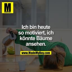 Ich bin heute
so motiviert, ich
könnte Bäume
ansehen.
