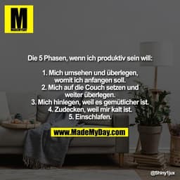 Die 5 Phasen, wenn ich produktiv sein will:

1. Mich umsehen und überlegen,
womit ich anfangen soll.
2. Mich auf die Cou