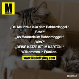 „Dei Maunzala is in dem Babberdeggel.“

„Bitte?“

„As Maunzala im Babberdeggel.“

„Was?“

„DEINE KATZE IST IM KARTON!“

