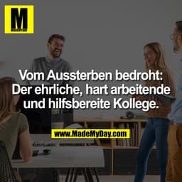 Vom Aussterben bedroht:
Der ehrliche, hart arbeitende
und hilfsbereite Kollege.