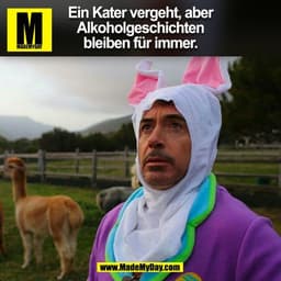 Ein Kater vergeht, aber
Alkoholgeschichten
bleiben für immer.
(BILD)