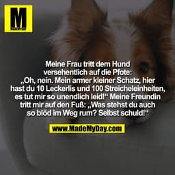 Meine Frau tritt dem Hund
versehentlich auf die Pfote:
„Oh, nein. Mein armer kleiner Schatz, hier
hast du 10 Leckerlis u
