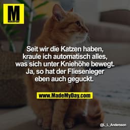 Seit wir die Katzen haben,
kraule ich automatisch alles,
was sich unter Kniehöhe bewegt.
Ja, so hat der Fliesenleger
ebe