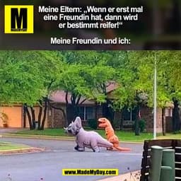 Meine Eltern: „Wenn er erst mal
eine Freundin hat, dann wird
er bestimmt reifer!“

Meine Freundin und ich:
(BILD)