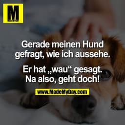 Gerade meinen Hund
gefragt, wie ich aussehe.

Er hat „wau“ gesagt.
Na also, geht doch!