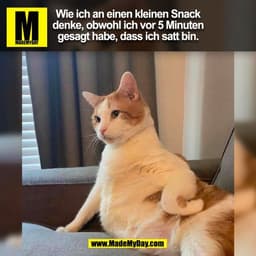 Wie ich an einen kleinen Snack
denke, obwohl ich vor 5 Minuten
gesagt habe, dass ich satt bin.
(BILD)