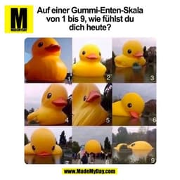 Auf einer Gummi-Enten-Skala
von 1 bis 9, wie fühlst du
dich heute?
(BILD)