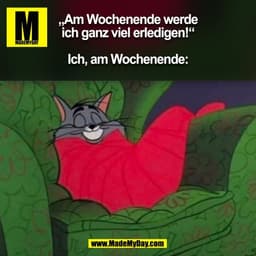 „Am Wochenende werde
ich ganz viel erledigen!“

Ich, am Wochenende:
(BILD)