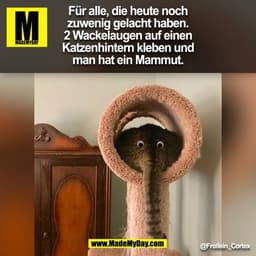 Für alle, die heute noch
zuwenig gelacht haben.
2 Wackelaugen auf einen
Katzenhintern kleben und
man hat ein Mammut.
@Fr