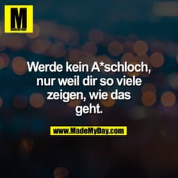 Werde kein A*schloch,
nur weil dir so viele
zeigen, wie das
geht.