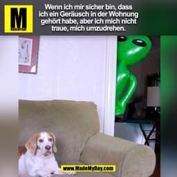 Wenn ich mir sicher bin, dass
ich ein Geräusch in der Wohnung
gehört habe, aber ich mich nicht
traue, mich umzudrehen.
(