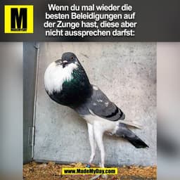 Wenn du mal wieder die
besten Beleidigungen auf
der Zunge hast, diese aber
nicht aussprechen darfst:
(BILD)