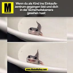 Wenn du als Kind ins Einkaufs-
zentrum gegangen bist und dich
in der Sicherheitskamera
gesehen hast:
(BILD)