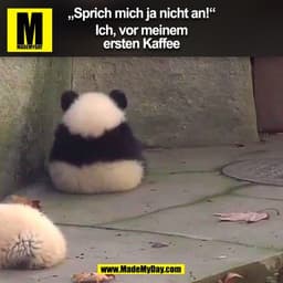 „Sprich mich ja nicht an!“

Ich, vor meinem
ersten Kaffee
(BILD)