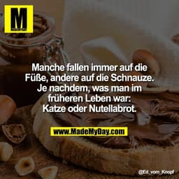 Manche fallen immer auf die
Füße, andere auf die Schnauze.
Je nachdem, was man im
früheren Leben war:
Katze oder Nutella