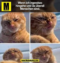 Wenn ich irgendwo
hingehe und da überall
Menschen sind.
(BILD)