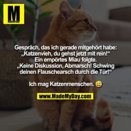 Gespräch, das ich gerade mitgehört habe:
„Katzenvieh, du gehst jetzt mit rein!“
Ein empörtes Miau folgte.
„Keine Diskuss