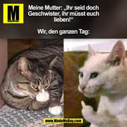 Meine Mutter: „Ihr seid doch
Geschwister, ihr müsst euch
lieben!“

Wir, den ganzen Tag:
(BILD)