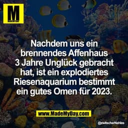 Nachdem uns ein
brennendes Affenhaus
3 Jahre Unglück gebracht
hat, ist ein explodiertes
Riesenaquarium bestimmt
ein gute