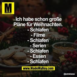Ich habe schon große
Pläne für Weihnachten. 
- Schlafen 
- Filme 
- Schlafen 
- Serien 
- Schlafen 
- Essen 
- Schlafen