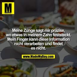 Meine Zunge sagt mir präzise,
wo etwas in meinem Zahn feststeckt.
Mein Finger kann diese Information
nicht verarbeiten u