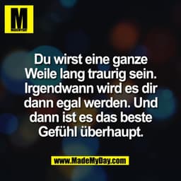 Du wirst eine ganze
Weile lang traurig sein.
Irgendwann wird es dir
dann egal werden. Und
dann ist es das beste
Gefühl ü