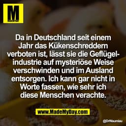 Da in Deutschland seit einem
Jahr das Kükenschreddern
verboten ist, lässt sie die Geflügel-
industrie auf mysteriöse Wei