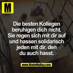 Die besten Kollegen
beruhigen dich nicht.
Sie regen sich mit dir auf
und hassen solidarisch
jeden mit dir, den
du auch h