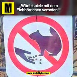„Würfelspiele mit dem
Eichhörnchen verboten!“
(BILD)