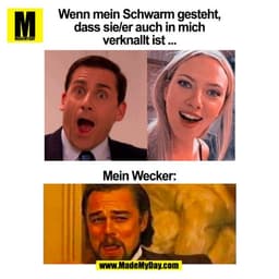 Wenn mein Schwarm gesteht,
dass sie/er auch in mich
verknallt ist ...
Mein Wecker:
(BILD)