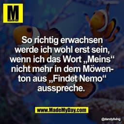 So richtig erwachsen
werde ich wohl erst sein,
wenn ich das Wort „Meins“
nicht mehr in dem Möwen-
ton aus „Findet Nemo“
