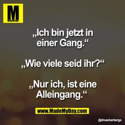 „Ich bin jetzt in
einer Gang.“

„Wie viele seid ihr?“

„Nur ich, ist eine
Alleingang.“