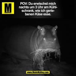 POV: Du erwischst mich
nachts um 3 Uhr am Kühl-
schrank, wie ich gerie-
benen Käse esse.
(BILD)