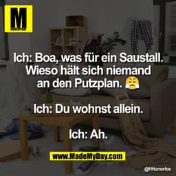 Ich: Boa, was für ein Saustall.
Wieso hält sich niemand
an den Putzplan. 😤

Ich: Du wohnst allein.

Ich: Ah.