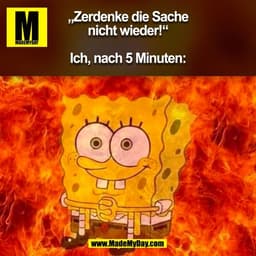 „Zerdenke die Sache
nicht wieder!“

Ich, nach 5 Minuten:
(BILD)