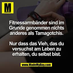 Fitnessarmbänder sind im
Grunde genommen nichts
anderes als Tamagotchis.

Nur dass das Vieh, das du
versuchst am Leben z