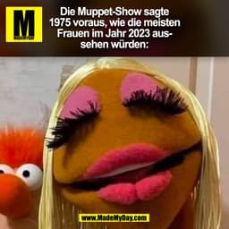 Die Muppet-Show sagte
1975 voraus, wie die meisten
Frauen im Jahr 2023 aus-
sehen würden:
(BILD)