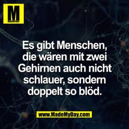 Es gibt Menschen,
die wären mit zwei
Gehirnen auch nicht
schlauer, sondern
doppelt so blöd.